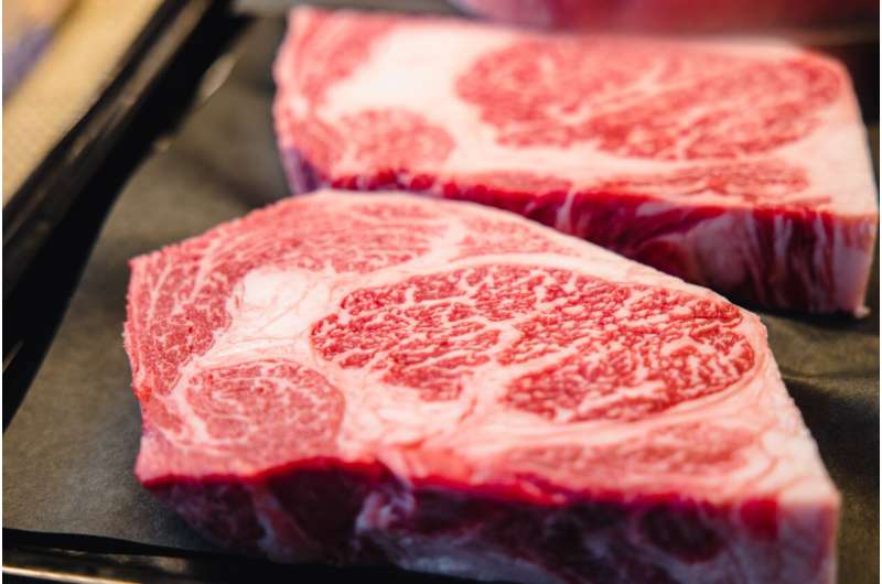 beef